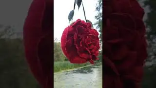 Традиции. Валяние из шерсти. Сумки из войлока