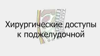 Хирургические доступы к поджелудочной железе