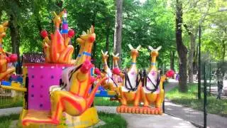 Карусель кенгуру.