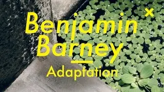 Benjamín Barney, Adaptation, Colombia