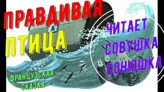 Правдивая птица