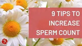 9 Tips to Increase Sperm Count