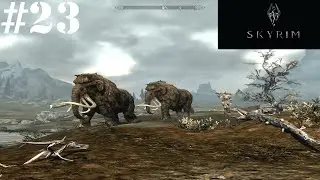 TES V: Skyrim - N23. Дивные окрестности Вайтрана.