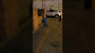 Ондатра (крыса) около Уфа-арены во время матча Салават Юлаев - Авангард 11 ноября 2022 года