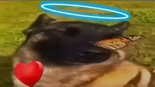 Мем 