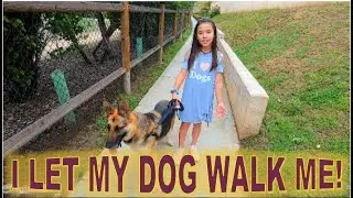 I let my dog walk me for a day! *IM EXHAUSTED*