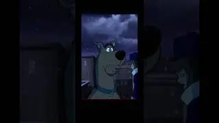 Żadna magia 