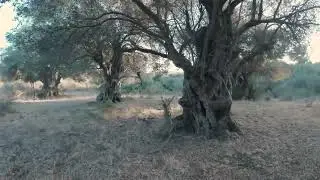 first flight with DJI AVATA
