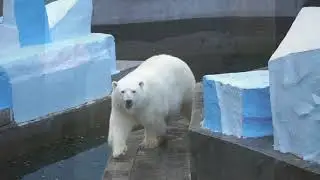 ОСЕННИЙ МАРАФОН ГЕРДЫ