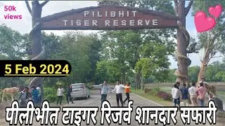 Pilibhit Tiger Reserve की शानदार सफारी | टाइगर रिजर्व | Pilibhit Tiger reserve chuka spot | Chuka B