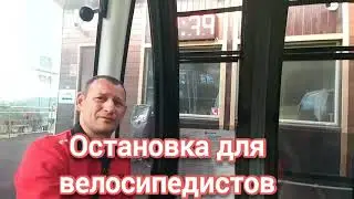 Алтай Манжерок