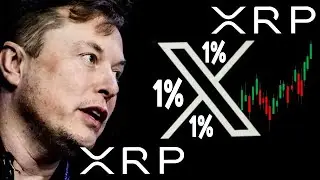 RIPPLE XRP CONNECTION BETWEEN ELON MUSK AND MR POOL FOUND! ELON MUSK JOINS THE 1% INSIDERS CLUB!!!
