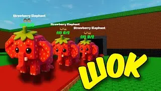 ШОК! ПОЛУЧИЛ STRAWBERRY ELEPHANT В УКРАДИ БРЭЙНРОТА ROBLOX
