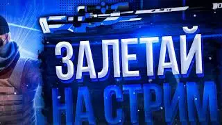 hotore стримит
