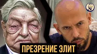 Элиты вас презирают. И есть за что. Эндрю Тейт о социальном неравенстве.