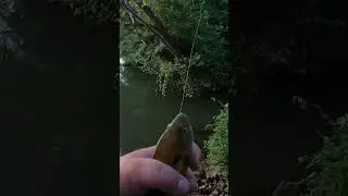 Ultralight fishing with worms
