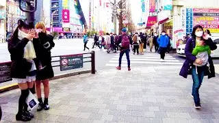 Akihabara in Tokyo. Enjoy the maid cafe ♪ 💖 4K ASMR non-stop 1 hour 02 minutes