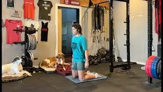 Banded Kneeling Hip Extension