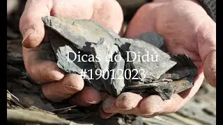 Dicas do Didú #19012023