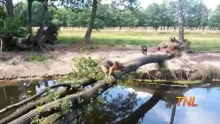 July 2015 February 2016 TNL Fail Compilation