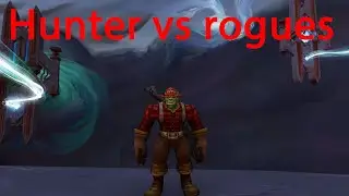 Hunter vs rogues - Beast mastery hunter pvp  - Shadowlands 9.2