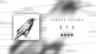 RYS | Corvus Volare (Single)