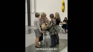 Конкурс на лучшего представителя породы Пекинес