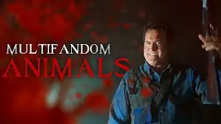 Multifandom || Animals