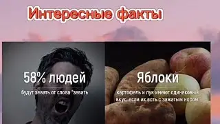 Интересные факты