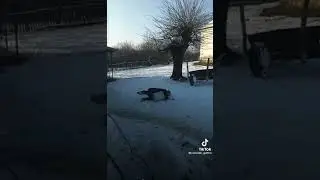 uživo-do 2sata piosam i normalan biosam😛😛🤣🧐🧐🧐