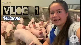 VLOG #1 Vivianne - Kijkje in de kraamstal en de schapenronde