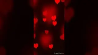 ♥️Виктория_Качур - Я_Тебя_Очень_Люблю♥️