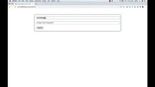 Form Validation Pure Javascript
