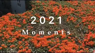 2 0 2 1 𝓜𝓸𝓶𝓮𝓷𝓽𝓼