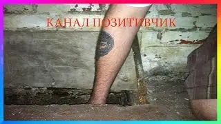 ПРИКОЛ КАК НЫКАТЬ БУХЛО ОТ ЖЕНЫ|COUB THE BEST