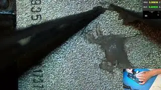 iPhone 7 Plus No Sound Repair