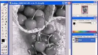 skala szarości 01 - lektor