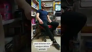 çakal dinlerken kürt olduğum aklıma gelmiştir 😂😂