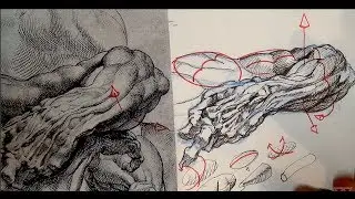 Pen and Ink Drawing Tutorials | Cross-hatching and shading tips from Peter Paul Rubens