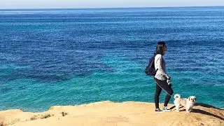 Starting the New Year in San Diego
