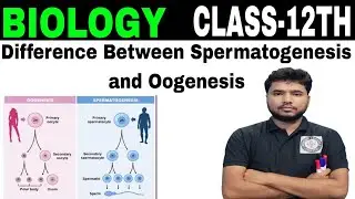 Difference between Spermatogenesis and Oogenesis|| Class-12th Biology