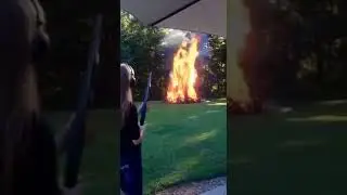 Патроны для гладкоствольного ружья - дыхание дракона!🔥🔥🔥 #охота #hunter