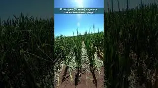 🌦 Имитация града в поле