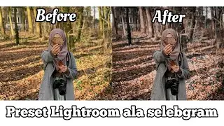 Preset Lightroom ala selebgram keren | part 2