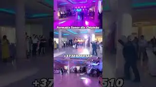 Show Fantastic de Lumini Ambientale🤩   #wedding #dj #music #party #dance #love #bride #live