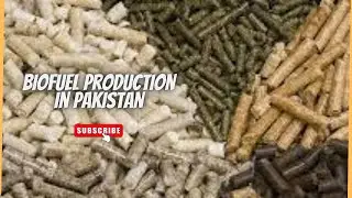 Biofuel production in Pakistan | Bio Mass Pellets ​ @Utopiapk   | Extreme Engineering