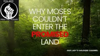 What Stopped Moses from Entering the Promised Land    #mosespromisedland #mosesandgod #promisedland