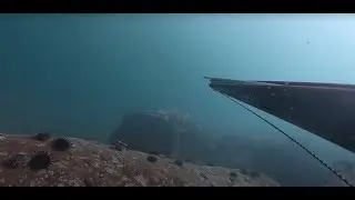 Косяк Терпуга