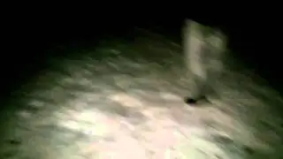 Silver Seneca goes Silver Sledding