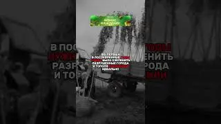 ПОЧЕМУ В СССР В ОСНОВНОМ САЖАЛИ ТОПОЛЯ?!😳 